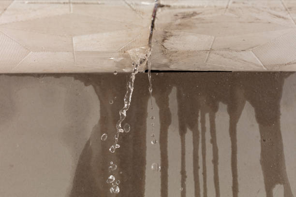 Professional Sewage Cleanup technician working in Potomac, MD